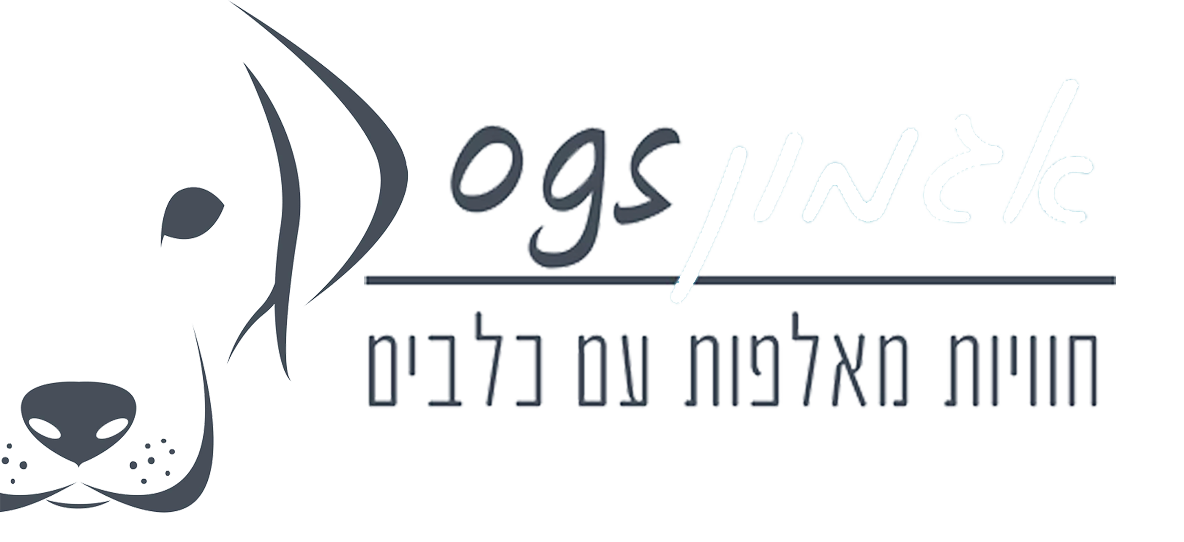 logo3